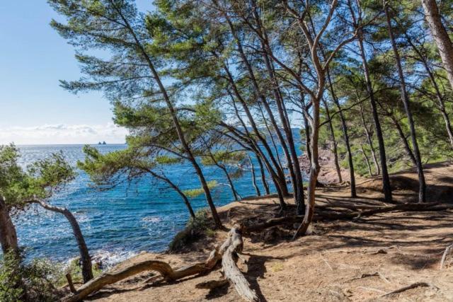 Studio Climatise Avec Jardin Et Plage A 250M Saint-Mandrier-sur-Mer Exterior foto
