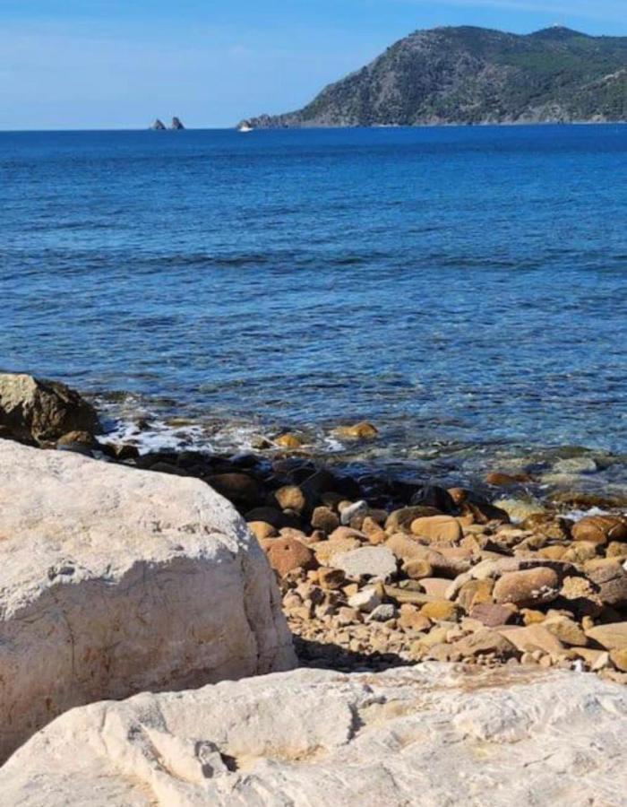 Studio Climatise Avec Jardin Et Plage A 250M Saint-Mandrier-sur-Mer Exterior foto